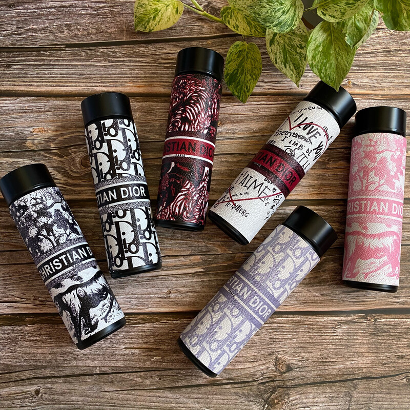 Dento Insulated Water Bottle