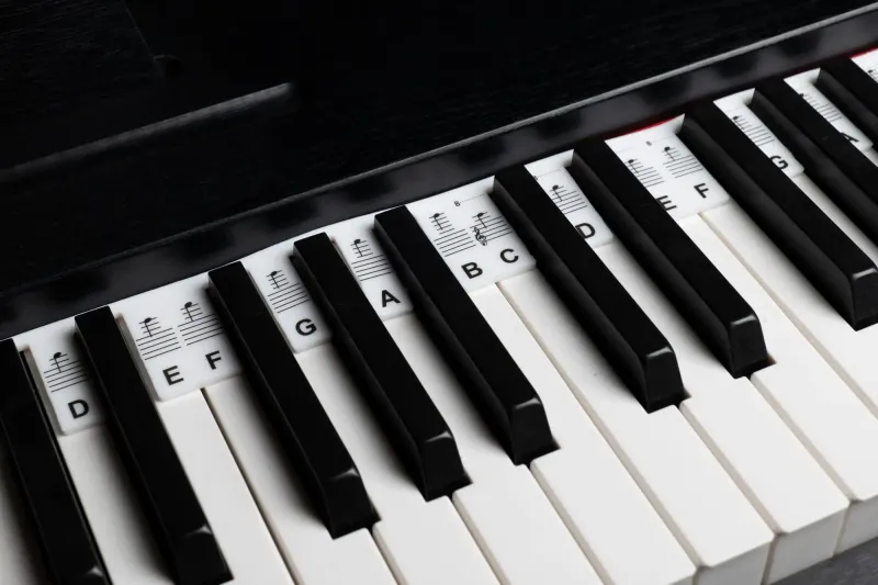 Silikonové notové pásy s tóny a notami Silikonové notové pásy s tóny a notami