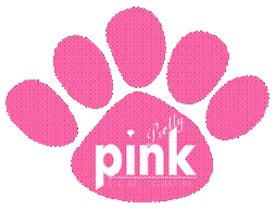 Pretty Pink's store