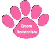 Groom Boutonniere