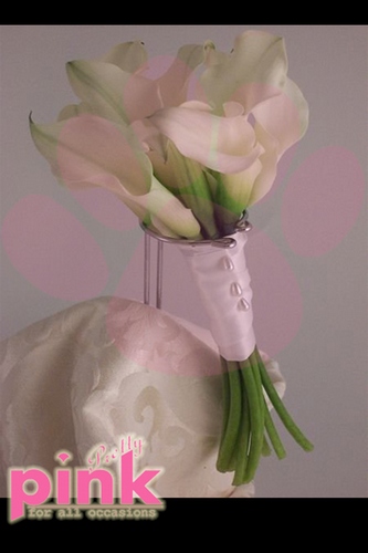 Bridal Gerb