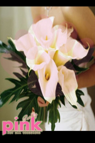 Bridal Gerb