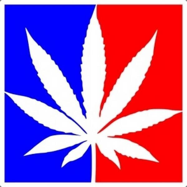 Multipackweedseeds
