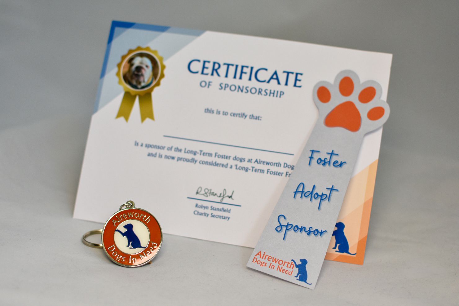 Long Term Foster Friend - 12 month Sponsorship