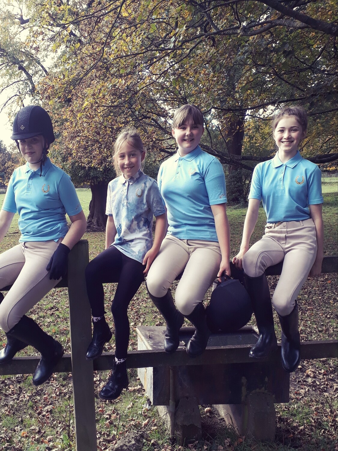 Basic Horsey Girl Polo, light blue - promo price, free shipping!