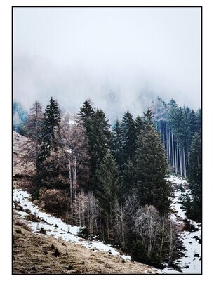 Poster | Wald | Schnee |  Weihnachten | DIN A4