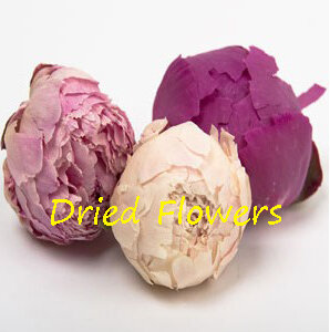 Dried Peony Heads - Pack of 20