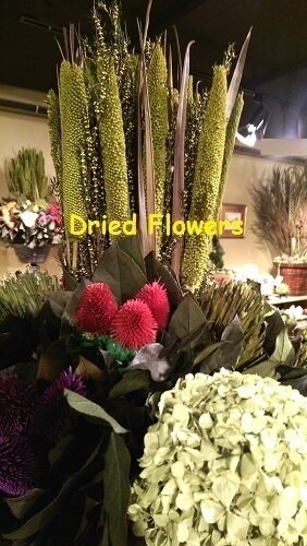 Preserved Multicolor Flower Arrangement