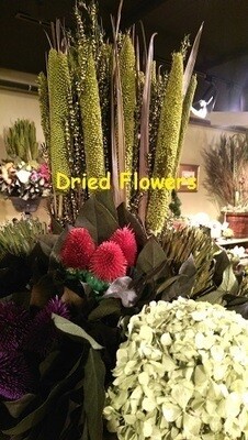 Preserved Multicolor Flower Arrangement