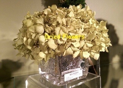 Preserved Basil Hydrangea