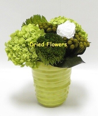 Preserved Mixed Flowers