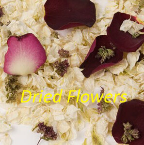 Larger Petals Mix - 10L