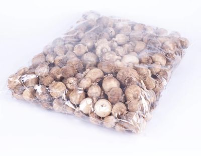 4.5kg ( 9.9 lb ) - Dried Decorative bulbs (SMALL)
