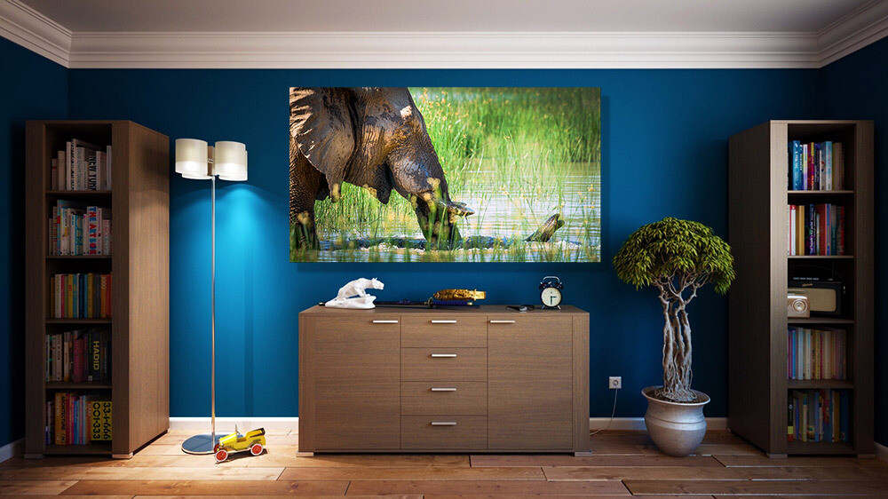 Afternoon dip - Elephant in a river