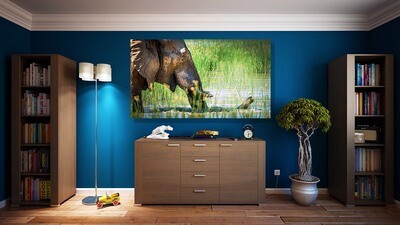 Afternoon dip - Elephant in a river