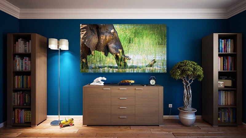 Fine Art Prints