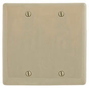 PLATE - DOUBLE BLANK, Color: Ivory 225010