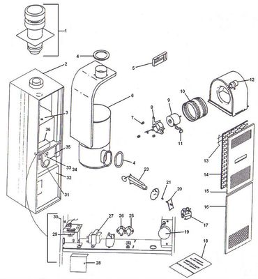 COLEMAN / REVOLV ILLUSTRATIONS