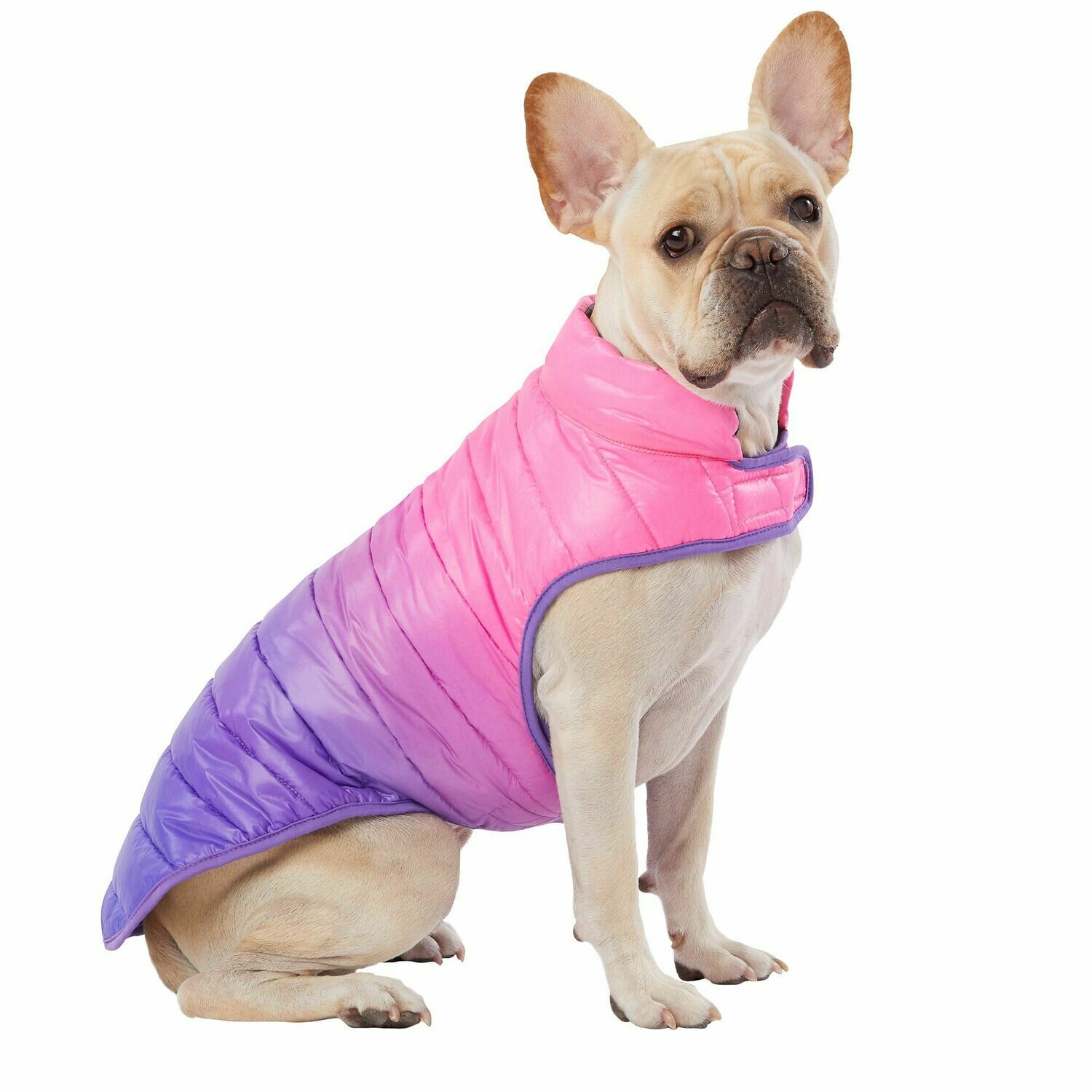 NEW Top Paw Ombre Puffer Jacket, Purple