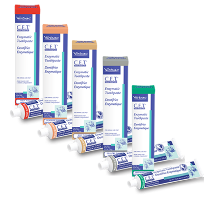 Dental Care