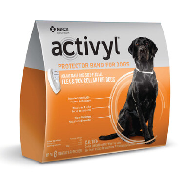 Flea &amp; Tick