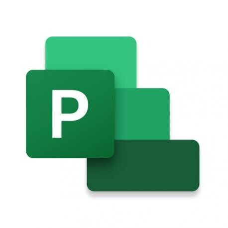 Microsoft Project Standard 2021 - Licencia - descarga