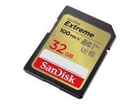 SD Memory Card