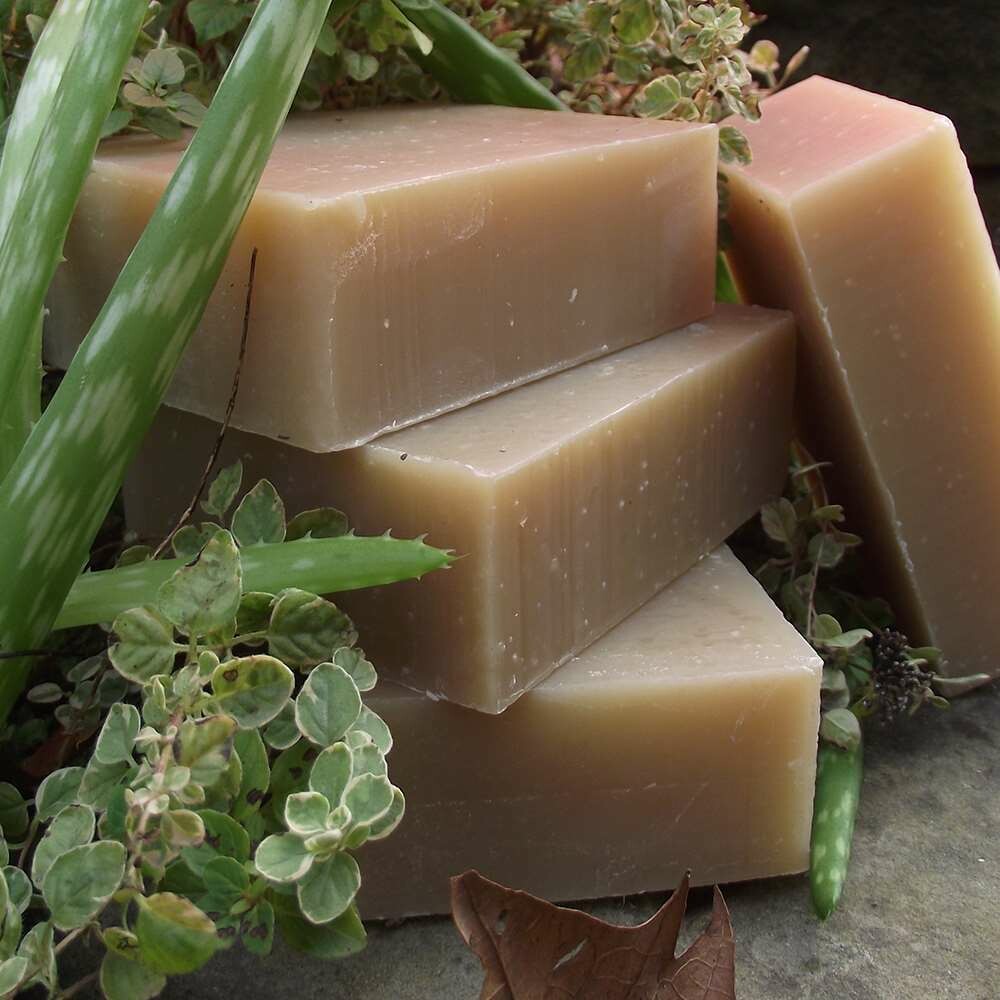 Neem &amp; Tea Tree