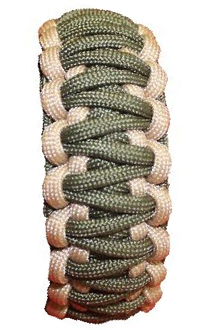 KING COBRA 09