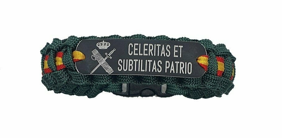 G C CELERITAS ET SUBTILITAS PATRIO