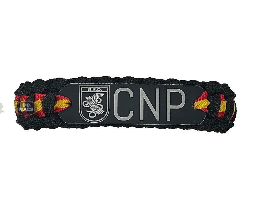 G.E.O. DEL CNP