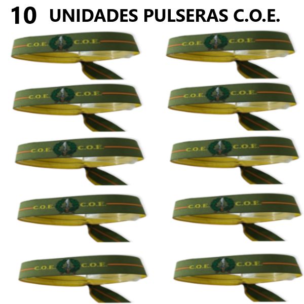 10 UNIDADES CINTA BORDADA C.O.E.