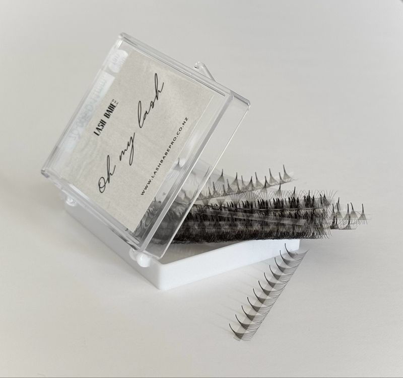 “Oh my Lash” 7D 0.05 Pro Fans CC curl