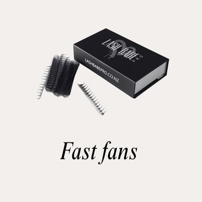 Fast PRO fans