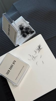 Russian Standart Fans