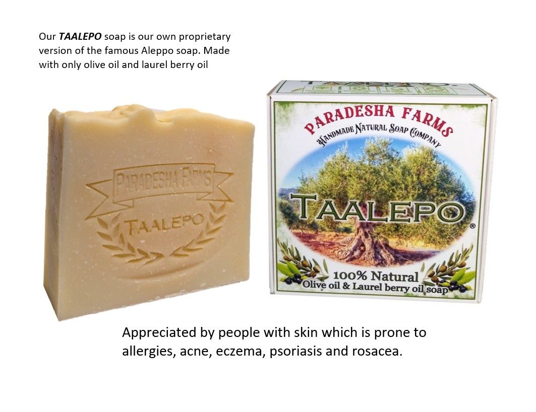 TAALEPO Pure Olive oil and Laurel berry fruit oil soap - Our version of Aleppo soap - 20% Laurel berry oil (approx. 160grams)