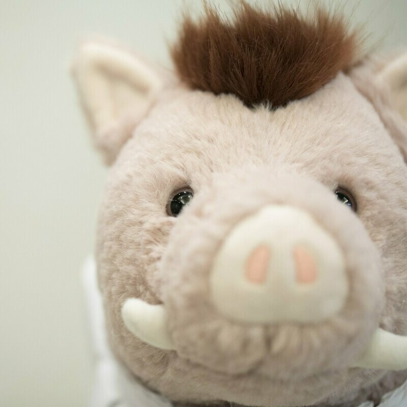 與蘇蘇玩耍：小野豬蘇蘇公仔和索繩袋套裝 Play with Sandro : “Sandro” soft toy with drawstring backpack