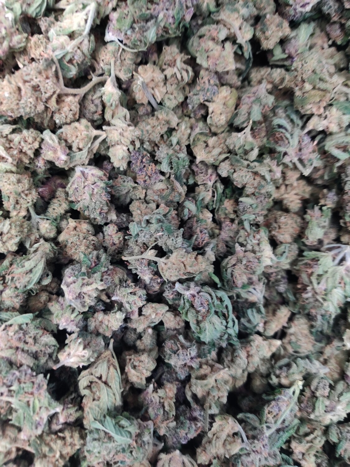 Frosted Grapes Smalls (Indoor) /g
