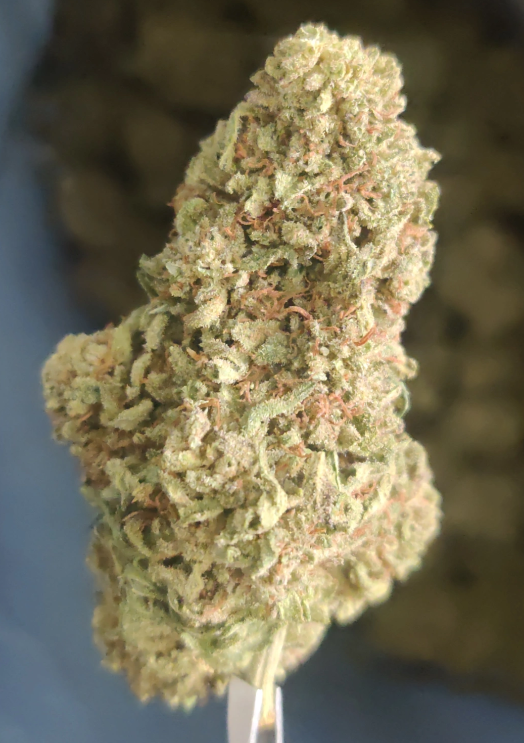 Godfather OG