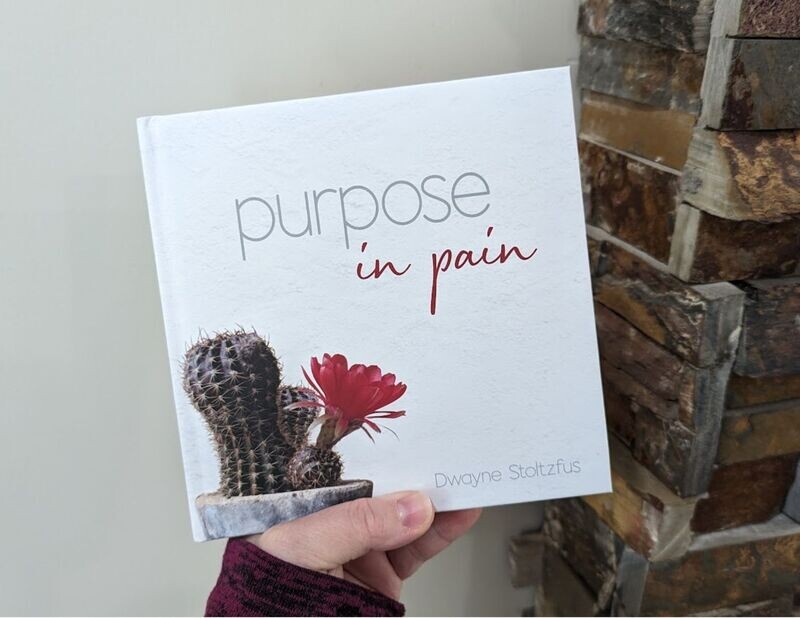 Purpose In Pain