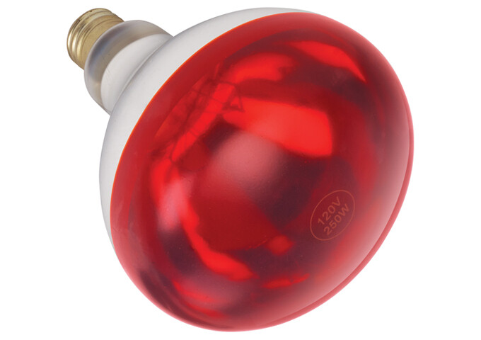 Heat Lamp Bulb Red