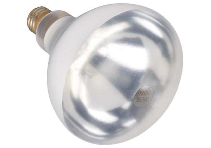 Heat Lamp Bulb White