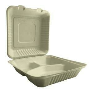 Container 9" Plast. 3-Compartment Hinged