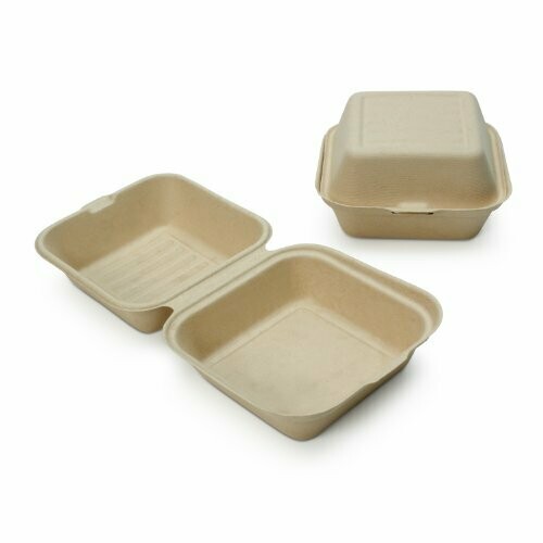 Container 6" Plastic Hinged
