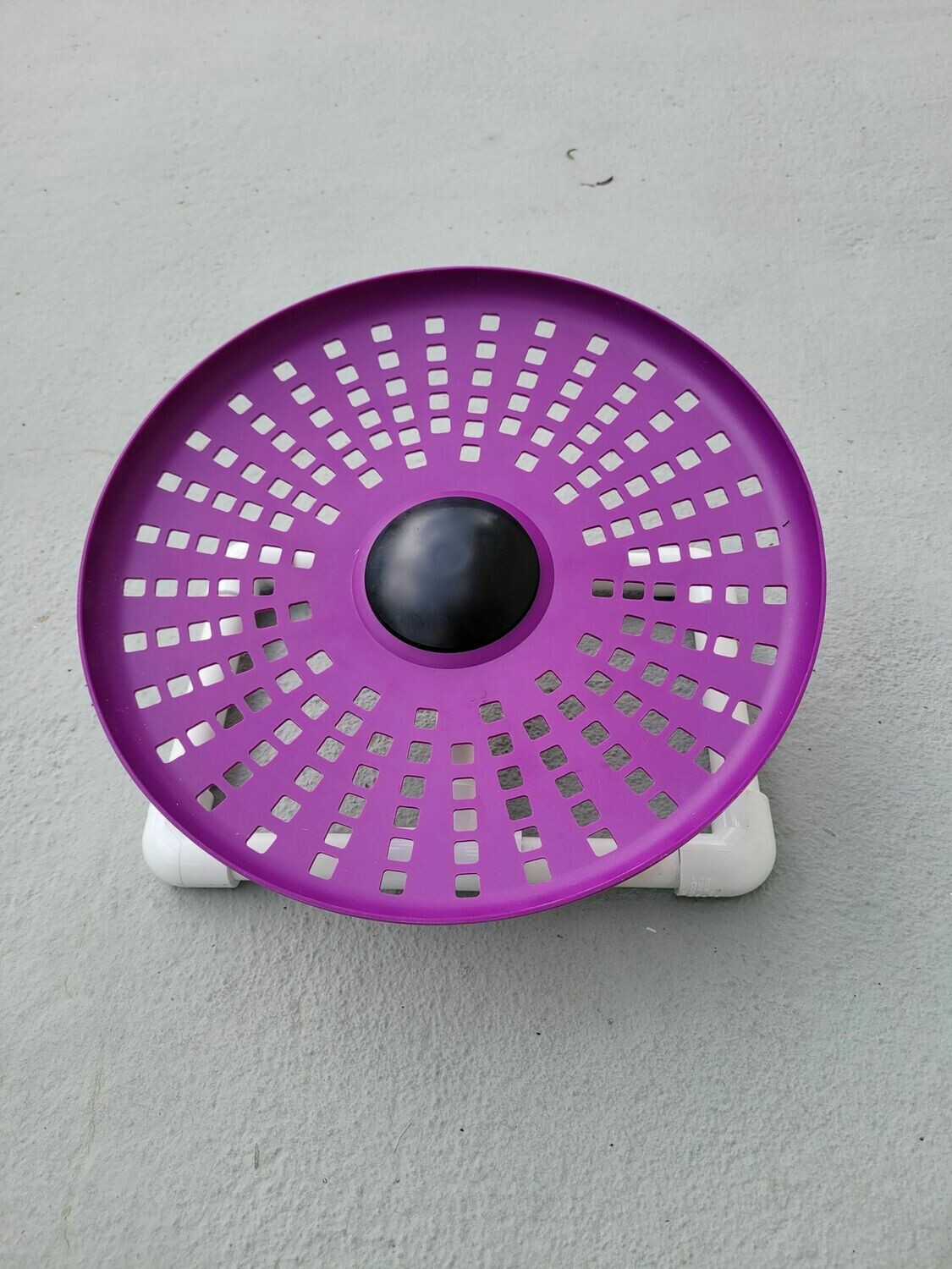 Purple Freedom Disk