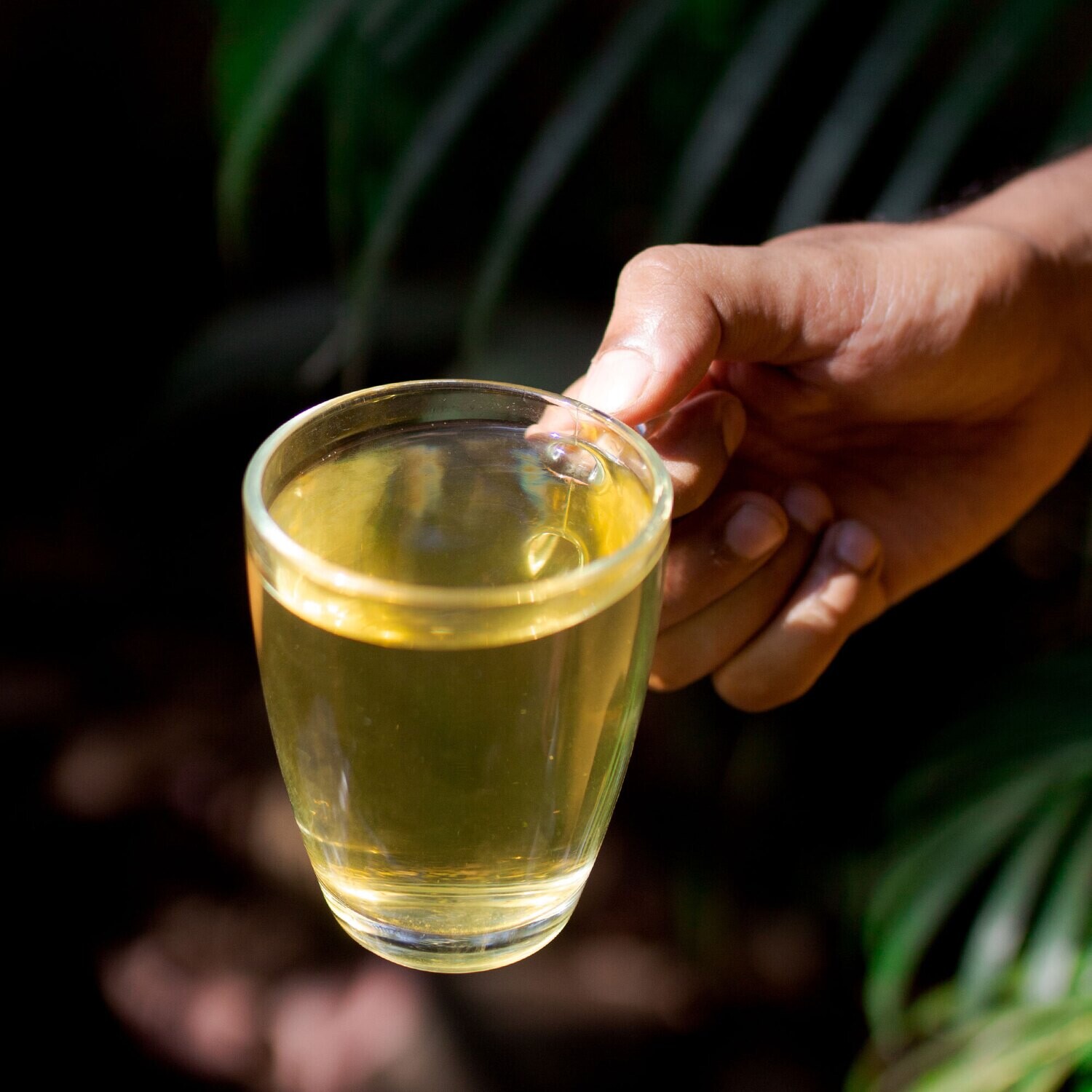 Herbal Teas Specials Set