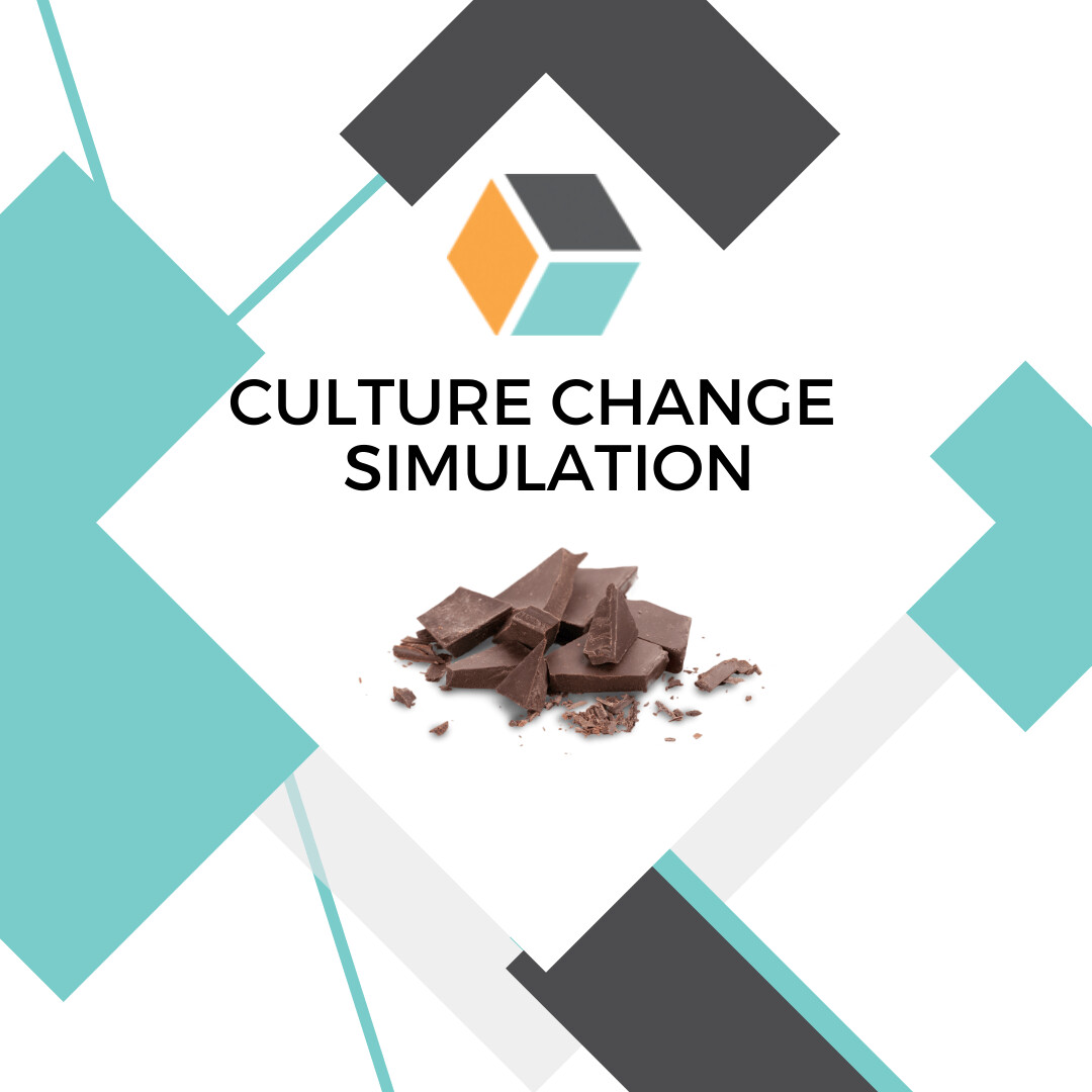Culture Change Simulation