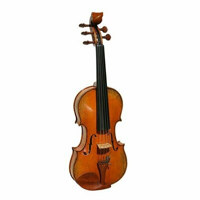 Golden Tasman 5 String Custom Electro-Acoustic Violin