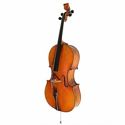 Golden Tasman Custom Electro-Acoustic Cello