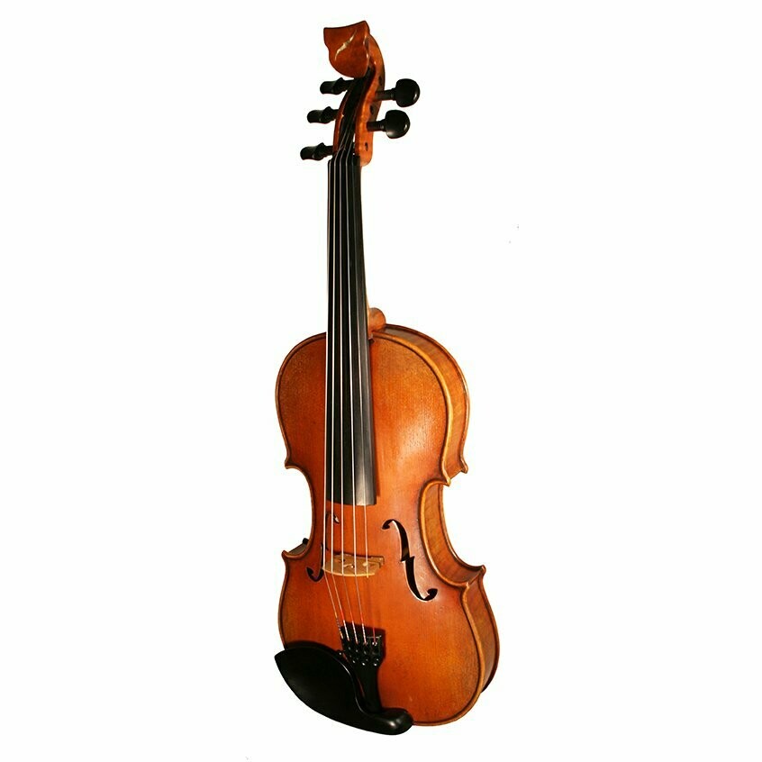 Tasman 5 String Electro-Acoustic Violin